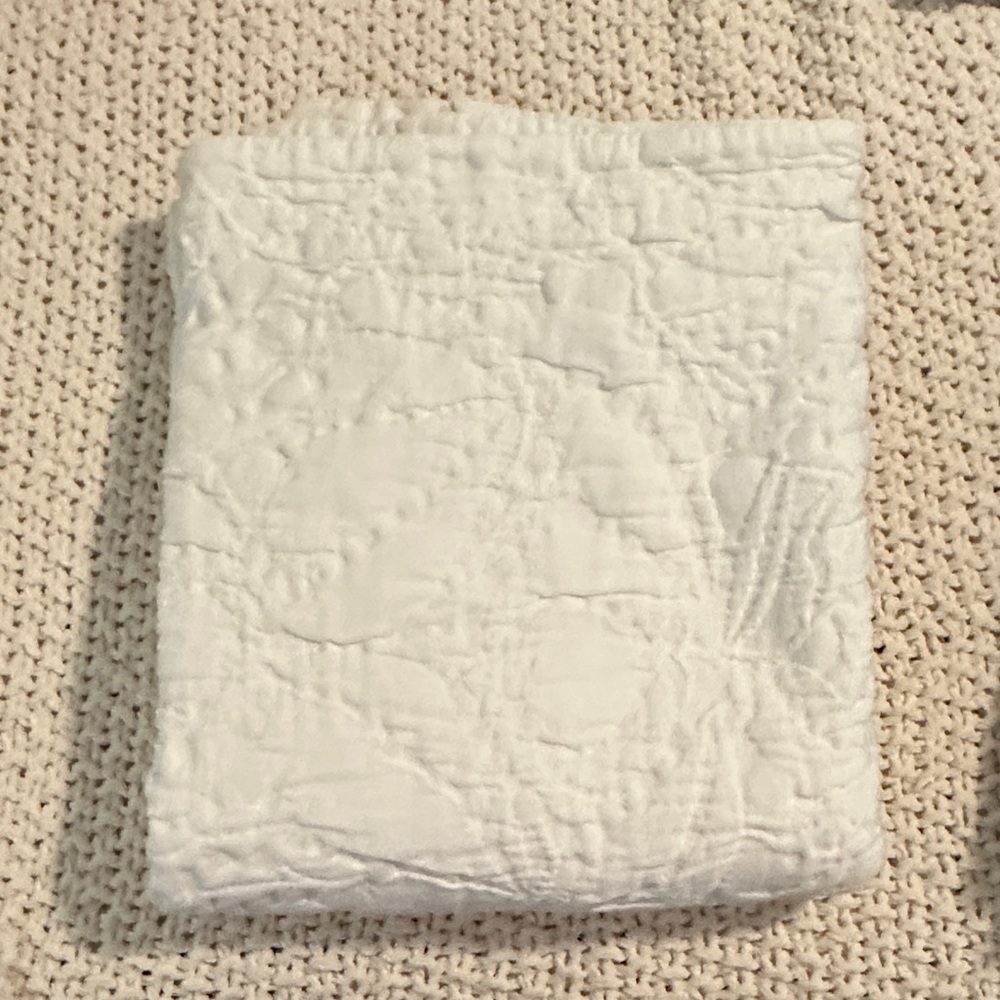 NWOT! Pottery Barn White Quilted Sham (1 sham)